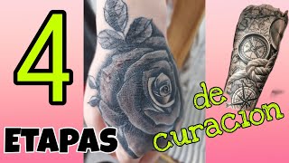 Las 4 Etapas de curación de un tatuaje [upl. by Ennayk]