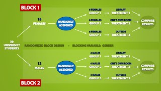 Types of Experimental Designs 33 [upl. by Bonne995]