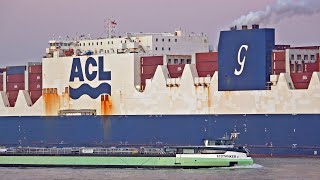 GIANT SHIPS ON RIVER WESTERN SCHELDT  4K SHIPSPOTTING JANUARY 2025 [upl. by Iadrahc]