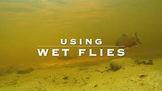 Wet Fly Fishing Tips amp Techniques  Guide Tips [upl. by Leitnahs]