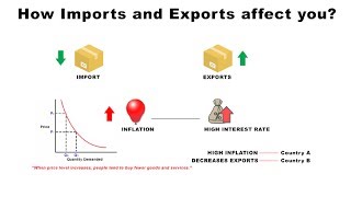 How Imports and Exports Affect You  Economics [upl. by Seavey]