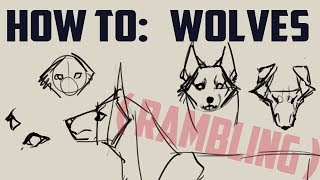 How to draw wolves basics me rambling [upl. by Etireuqram]