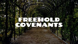 Introduction to Freehold Covenants Part 1  Land Law [upl. by Htederem]