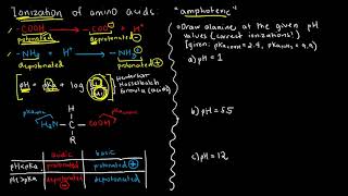 BIOCHEM 13  Amino Acid Ionization 1 [upl. by Morril]