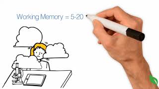 How Does Human Memory Work [upl. by Ezarras]