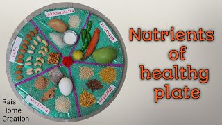 Nutrients of healthy plateprojectschool activities [upl. by Jaddan]