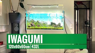 Akwarium 432L 120x60x60cm  Iwagumi [upl. by Enel]