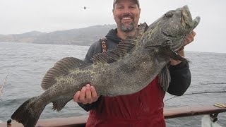 How To Catch Lingcod amp Rockfish Episode 9 [upl. by Nageet667]