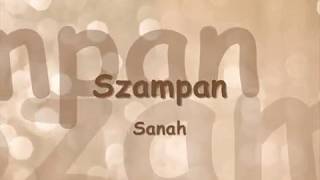 Sanah  Szampan TekstLyrics [upl. by Sonni]