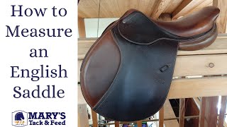 How to Measure an English Saddle [upl. by Simaj]