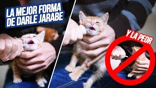 ¿Cómo debo darle jarabe a mi gato [upl. by Odranreb463]