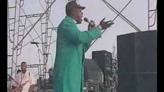 Barrington levy  Too experienced [upl. by Adnalu180]