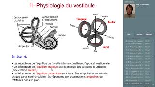 le système vestibulaire [upl. by Brod]