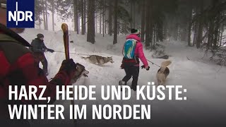 Erlebnis Winterzauber  die nordstory  NDR Doku [upl. by Affrica202]