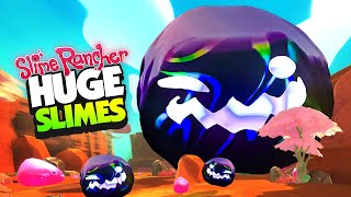 Making Slimes as BIG AS THE ISLAND  Slime Rancher [upl. by Evita]