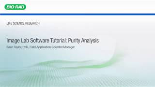 Image Lab Software Tutorial Purity Analysis [upl. by Notyap]