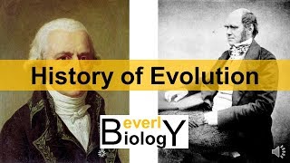 History of Evolution updated [upl. by Minnnie]