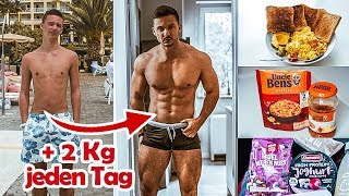 Schnell Zunehmen  6000 kcal einfach essen  Masseaufbau Anleitung [upl. by Attelocin810]