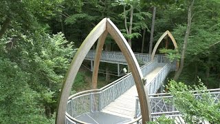 TREETOPWALK  DER BAUMKRONENWEG am EDERSEE 2015 [upl. by Yentrok]