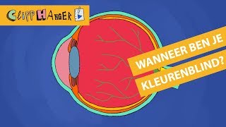 Wanneer ben je kleurenblind [upl. by Zerk712]