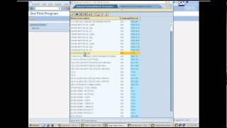 Creating our first report program in SAP  Day 4 [upl. by Allen]