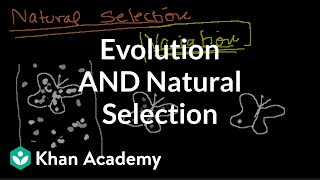 Introduction to Evolution and Natural Selection [upl. by Oderfodog]