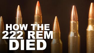 Cartridges That Killed the 222 Remington [upl. by Enelime192]