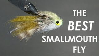 Tying The BEST Smallmouth Bass Fly StepbyStep  Underwater Footage [upl. by Ajnek561]