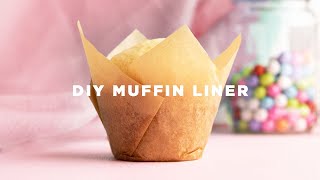 How to Make Cupcake Liners [upl. by Lennad]