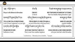 Short Dewachen Monlam  prayer for Rebirth in Pureland Tibetan Buddhism [upl. by Nnairac]