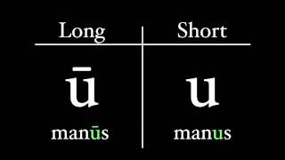 The Latin Alphabet  Vowel Pronunciation [upl. by Nabois]