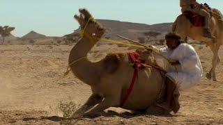 Trying To Ride A Crazy Camel  Ben amp James Versus The Arabian Desert  BBC [upl. by Junina]