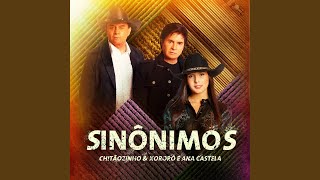 Sinônimos [upl. by Blancha]