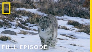 Mountains Full Episode  Hostile Planet [upl. by Goodson836]