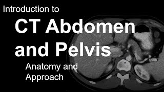 Introduction to CT Abdomen and Pelvis Anatomy and Approach [upl. by Gallenz210]