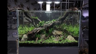 Nature Aquarium Aquascape Tutorial  The ADA Way By Aquarium Gardens [upl. by Auroora]