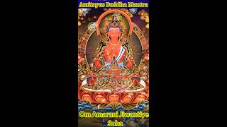 Amitayus Buddha Mantra Om Amarani Jiwantiye SohaBuddhist Mantra BuddhaLongevity Mantra [upl. by Aniz]