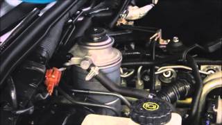 Diesel Fuel Filter Replacement  Nissan Navara [upl. by Sidra]