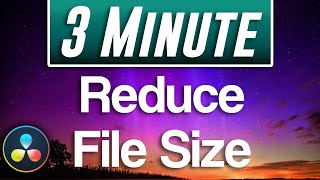 Davinci Resolve  How to Reduce File Size [upl. by Oisor]