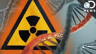 How Radiation Changes Your DNA [upl. by Abixah]