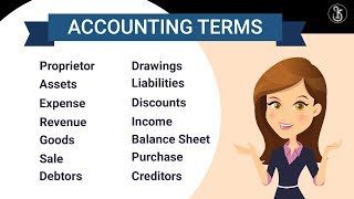 Accounting Terminology  Accounting Terms in Hindi Part1  Class 11 [upl. by Llenej]