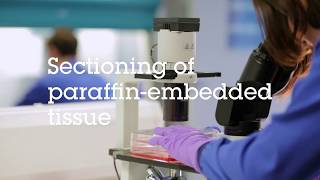 Sectioning of paraffin embedded tissue video protocol [upl. by Enelear]