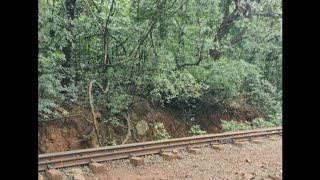 Walk from Dasturi point to Matheran via tracks [upl. by Imat27]