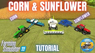 HOW TO GROW CORN amp SUNFLOWERS  Farming Simulator 22 [upl. by Marsland]