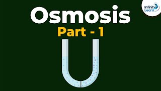 What is Osmosis  Part 1  Cell  Infinity Learn [upl. by Okwu419]