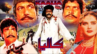 KALIA 1984  SULTAN RAHI MUMTAZ MUSTAFA QURESHI NAZLI  OFFICIAL PAKISTANI MOVIE [upl. by Hesky]