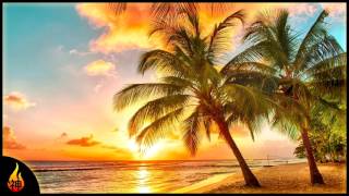 Island Reggae Music  Upbeat Tropics  Tropical Island Beach Music [upl. by Anelram]