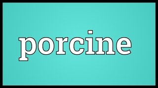 Porcine Meaning [upl. by Nylcoj]