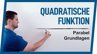 Quadratische Funktion amp Parabel Grundlagen  Mathe by Daniel Jung [upl. by Kamilah356]