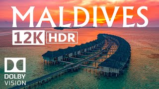 Maldives 12K HDR 60fps Dolby Vision [upl. by Harvey]